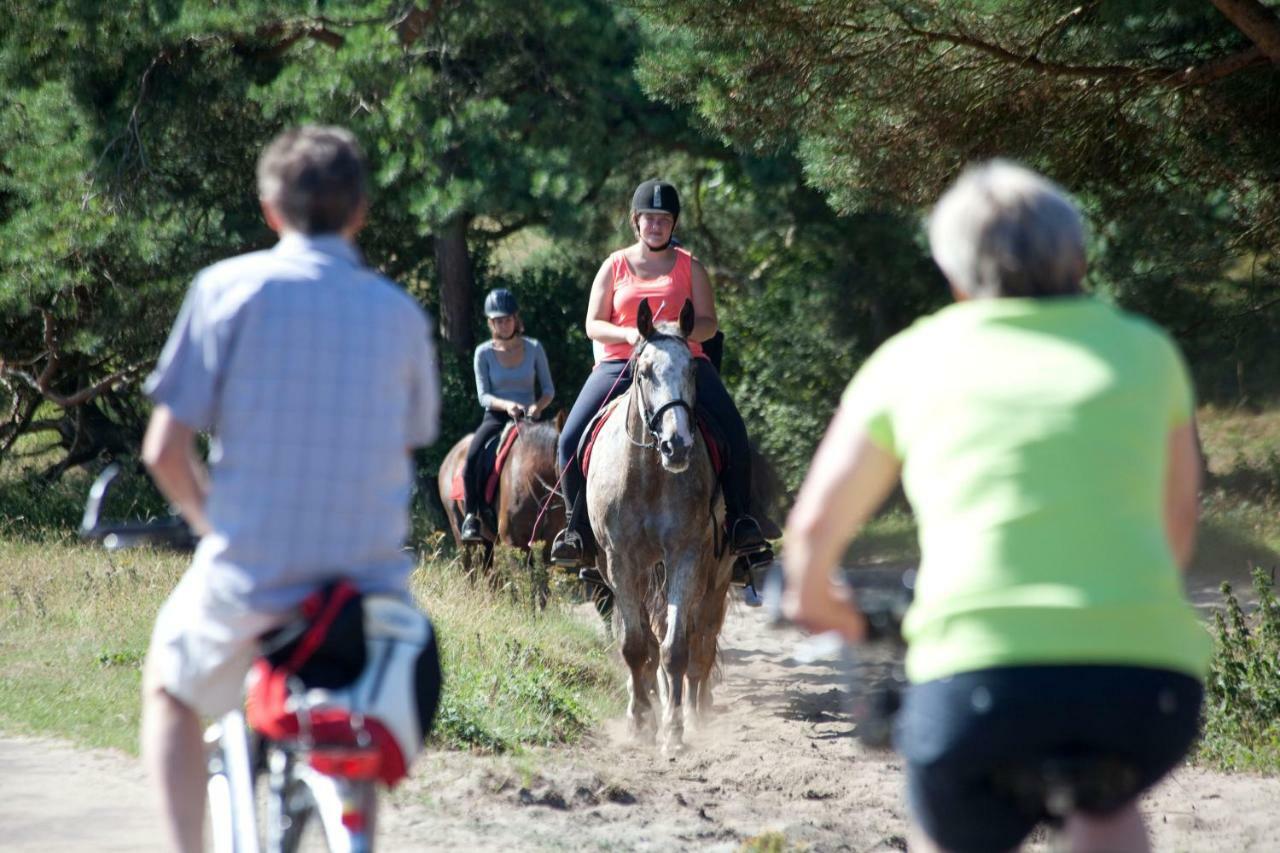 Bungalows - Bungalowpark Mooyeveld - Uniek Gelegen In De Duinen! Egmond-Binnen Zewnętrze zdjęcie